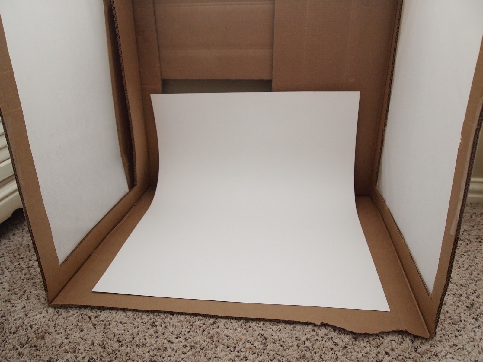 Cathey with an E DIY Light Box for Better Pictures