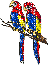Il pappagallo