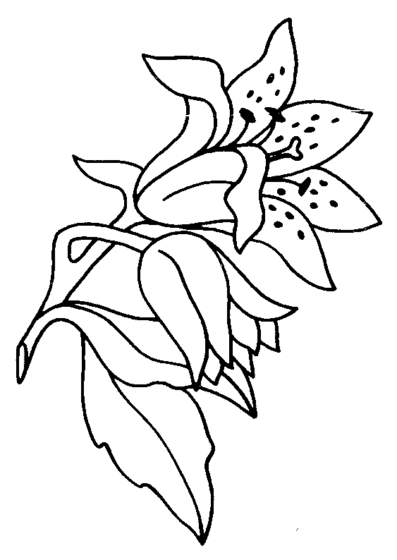 Detailed Flower Coloring Pages - Flower Coloring Page