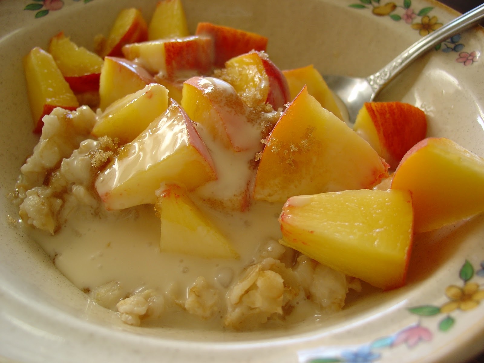 The Sisters Dish Peaches and Cream Oatmeal