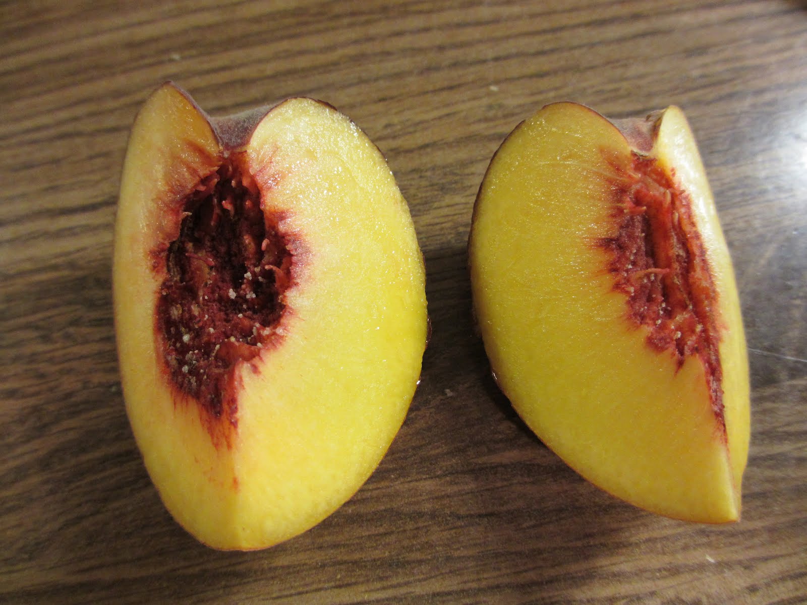 The Daily Apple August 2012