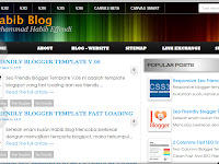 100% SEO Friendly Blogger Template