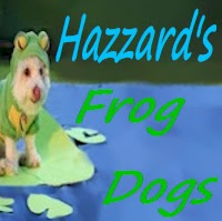 Hazzards Frog Dog