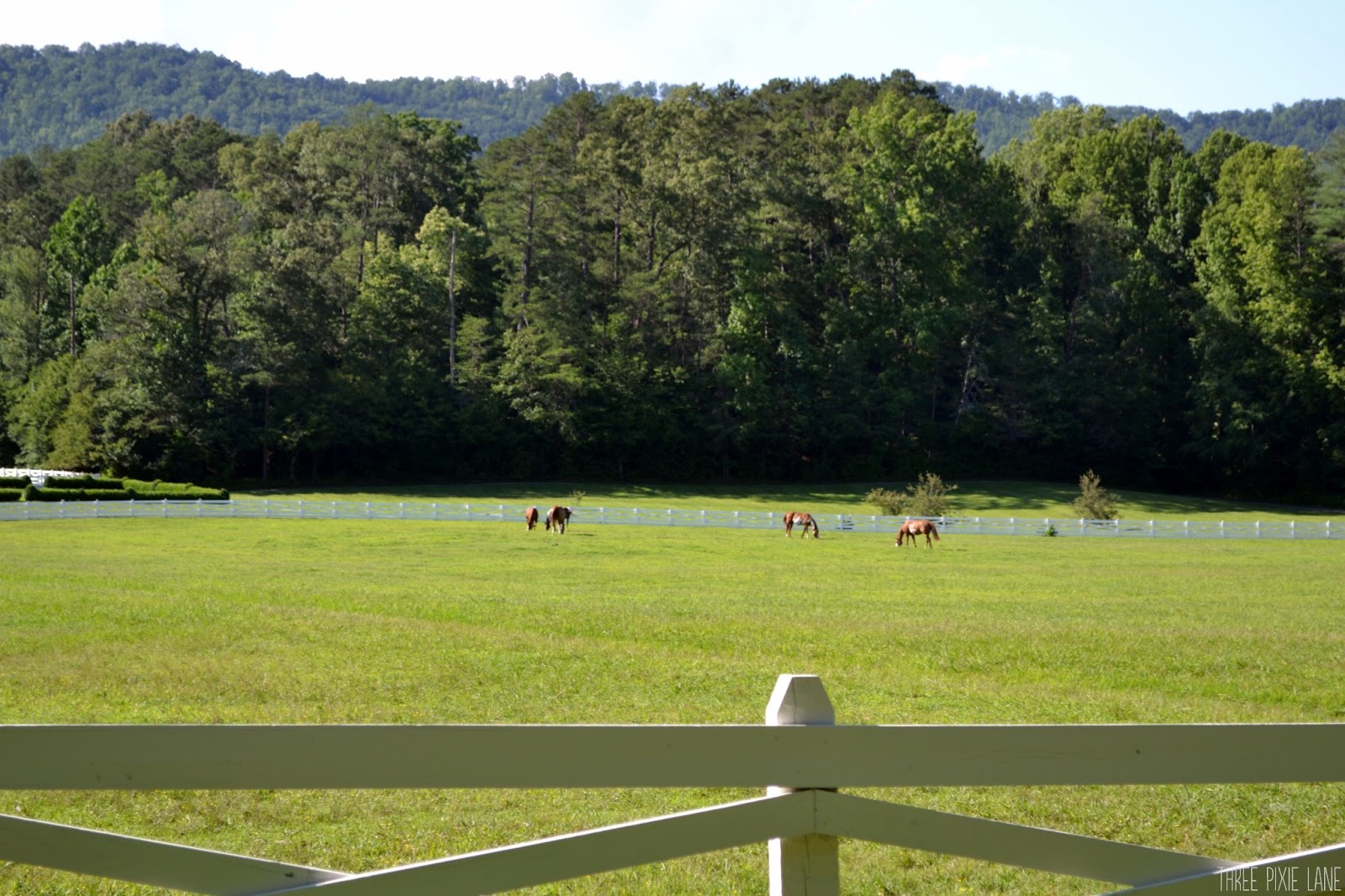 Three Pixie Lane Blackberry Farm (Top Ten Things to Do)