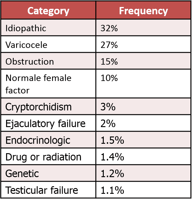 Brady Urology At Johns Hopkins Hospital Varicocele The Bag Of