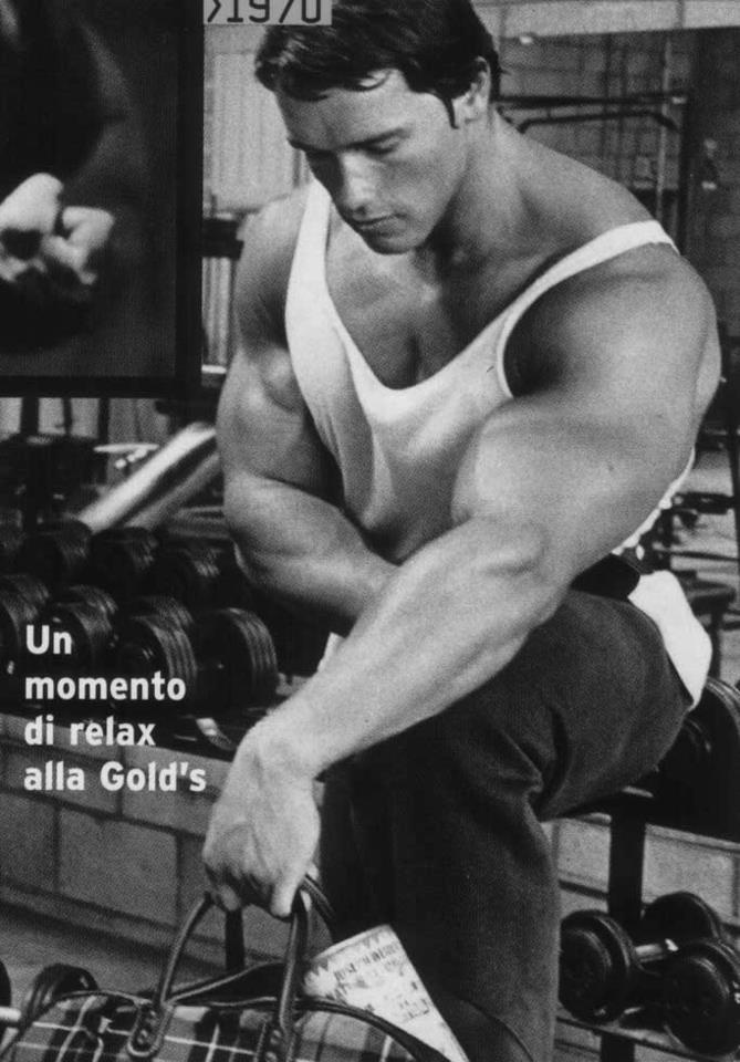 Bodybuilding Program Of Arnold