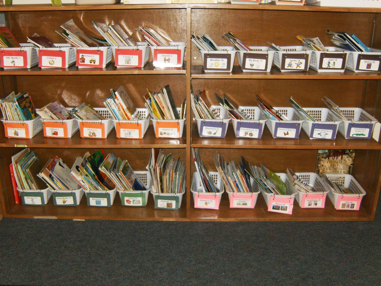 Holly's Hobbie: Kindergarten: Classroom Library Organization
