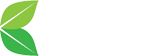 Basil Premium