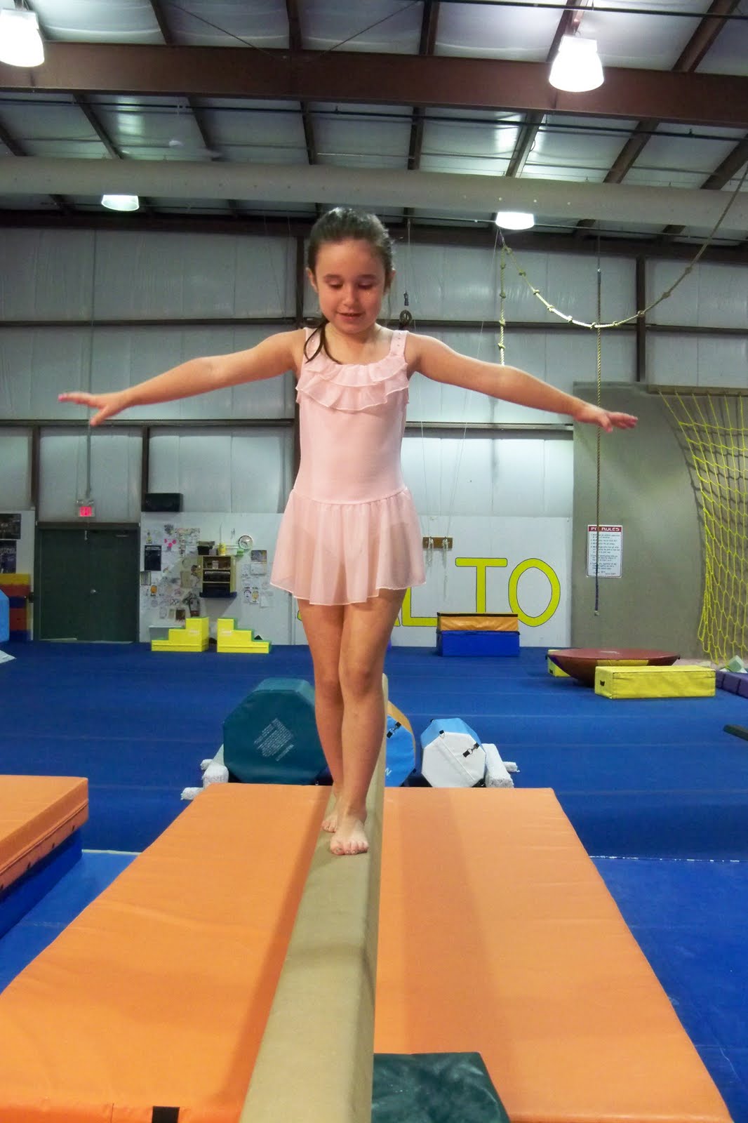 Addicted to the Cricut Salto Gymnastics