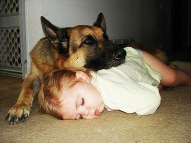 Napping With Pets Seen On www.coolpicturegallery.us