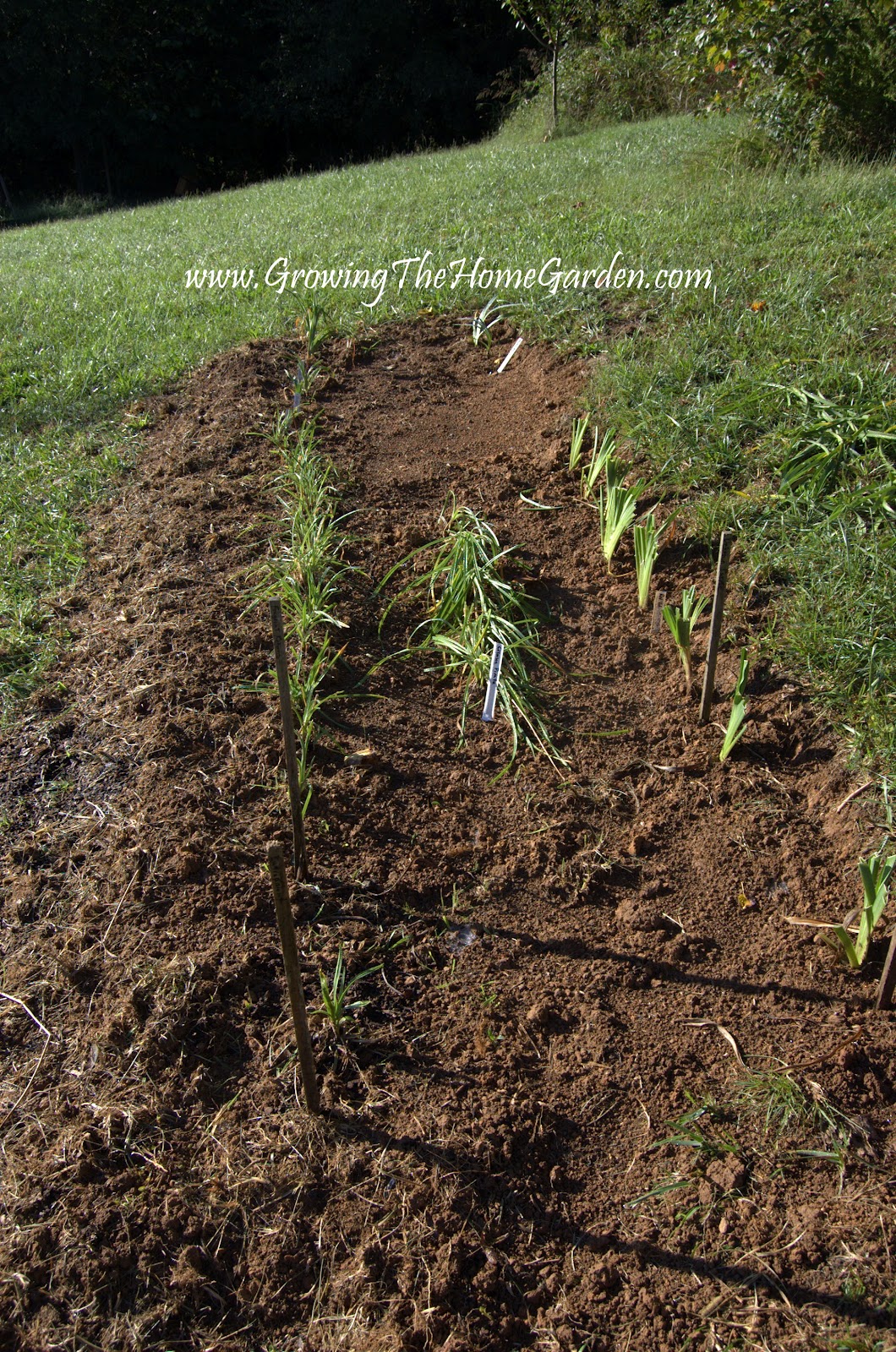 A New Daylily and Iris Bed Growing The Home Garden