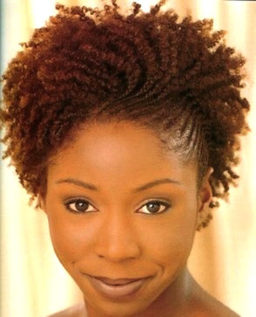 Short Natural Black Hairstyles