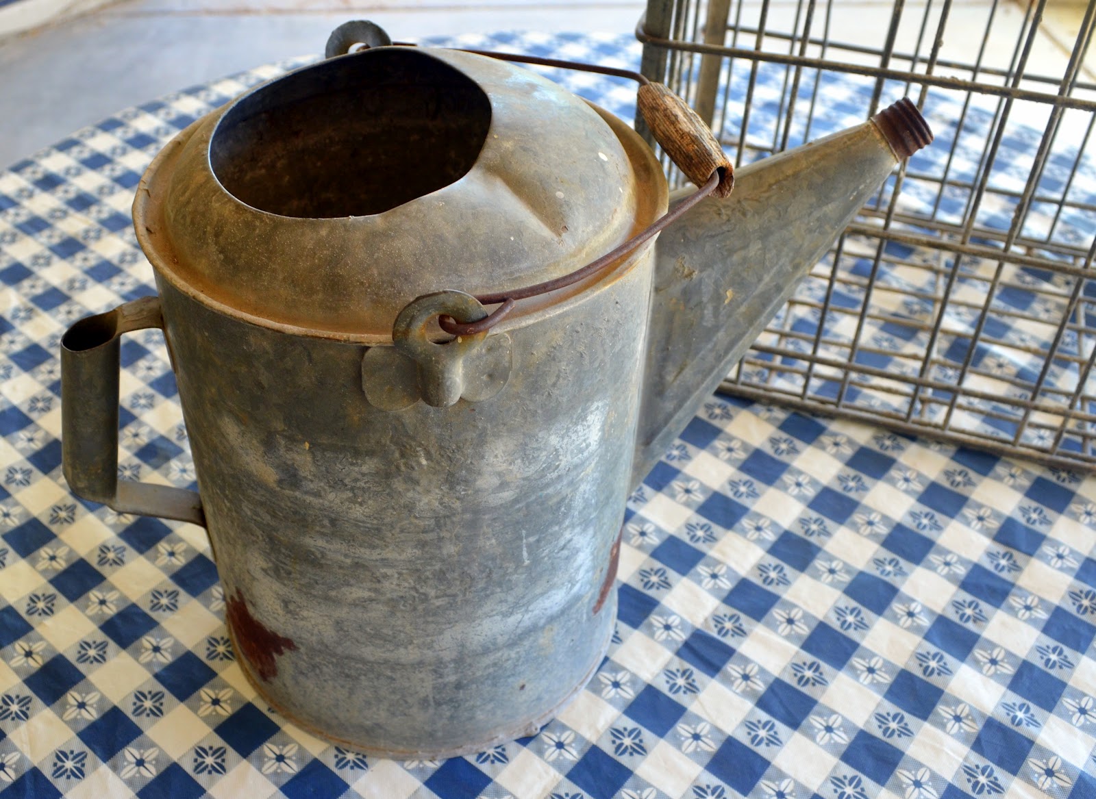 An Old, Antique Watering Can RePurposed Ramblings from a Desert Garden