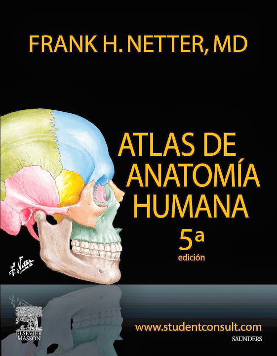 Netter Atlas de Anatomía Humana 5a edición Netter+Atlas+de+Anatomia+Humana+5a+edici%C3%B3n