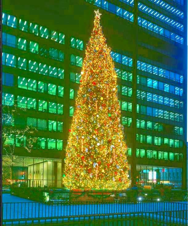 CHUCKMAN'S COLLECTION (CHICAGO POSTCARDS) VOLUME 03 PHOTO CHICAGO