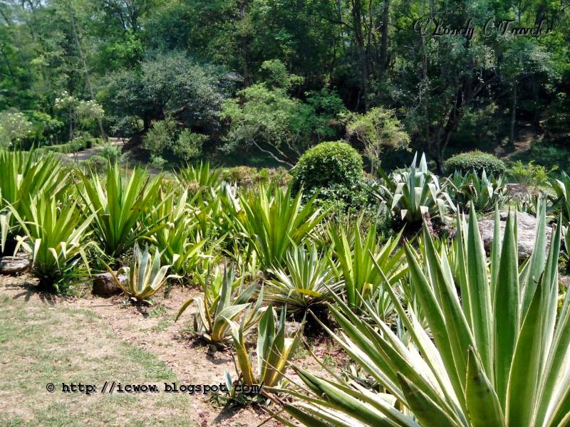 Godawari Botanical Garden Nepal