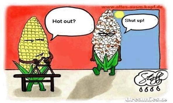 Two Men and a Little Farm: HOT OUT, FRIDAY FUNNY
