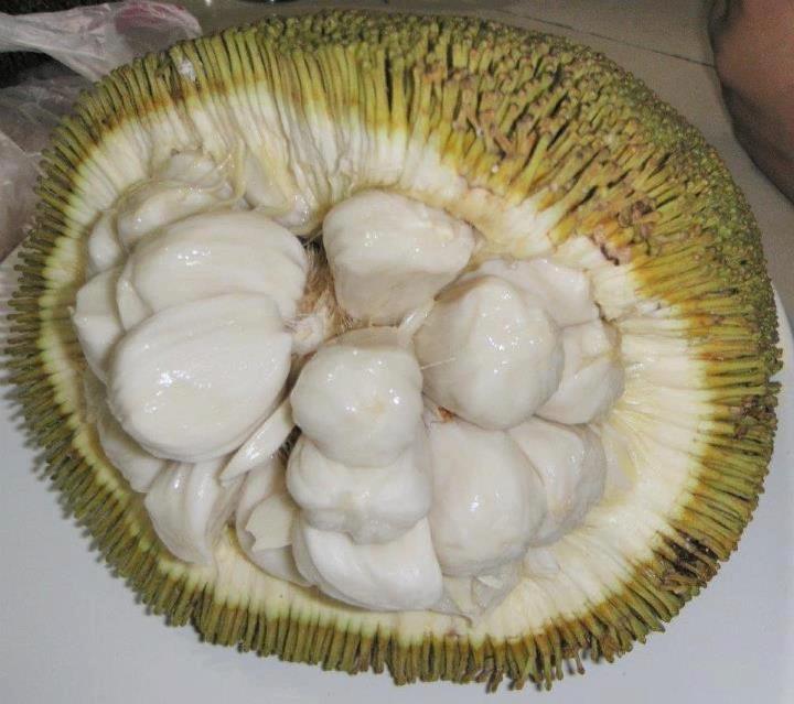 This is one of my favorite fruits "Marang"! ♥