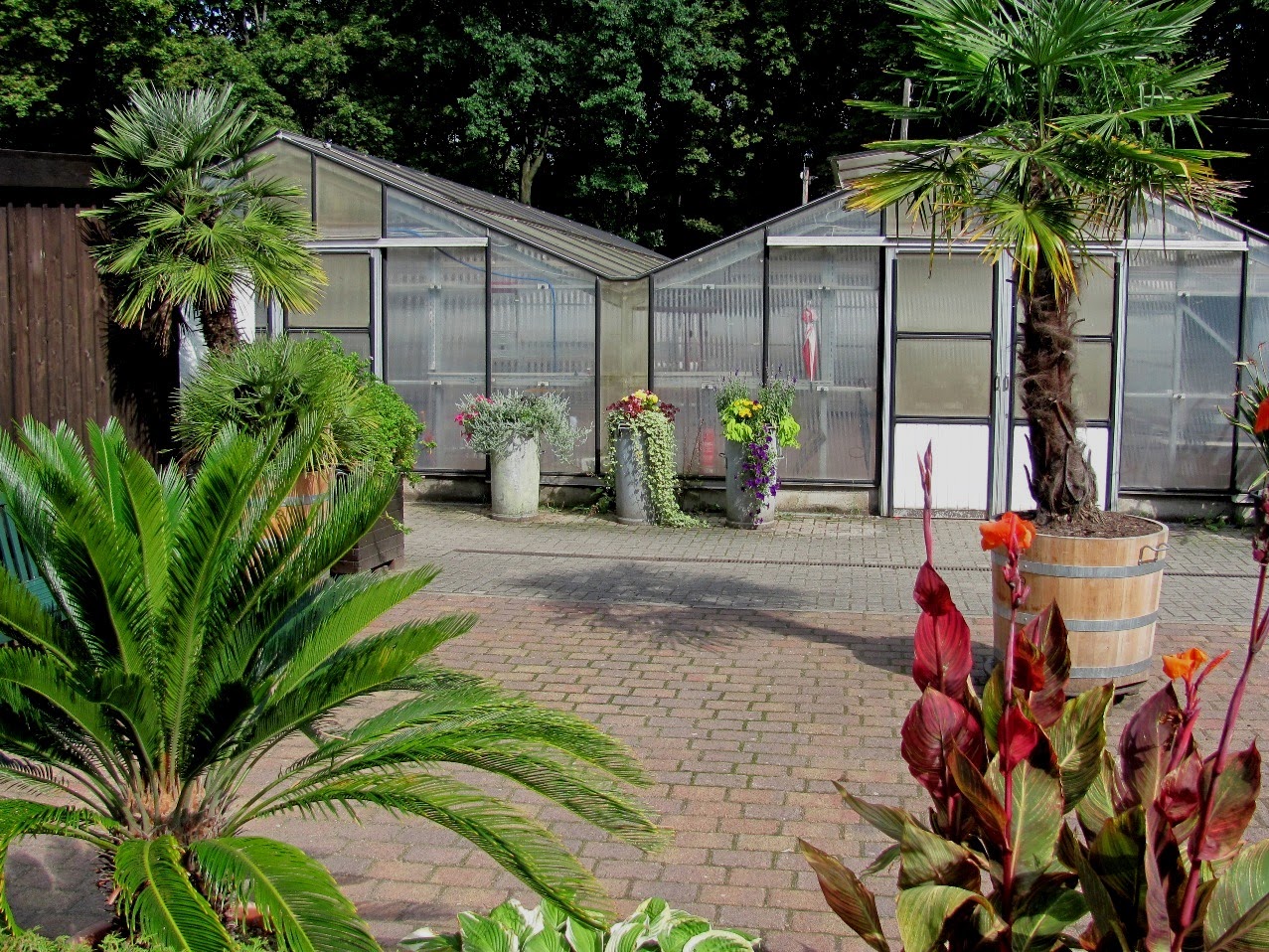 Gartenanders Ungewöhnlich Mülltonnen als Pflanzkübel