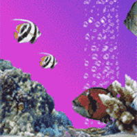 16++ Animasi hewan laut bergerak update 