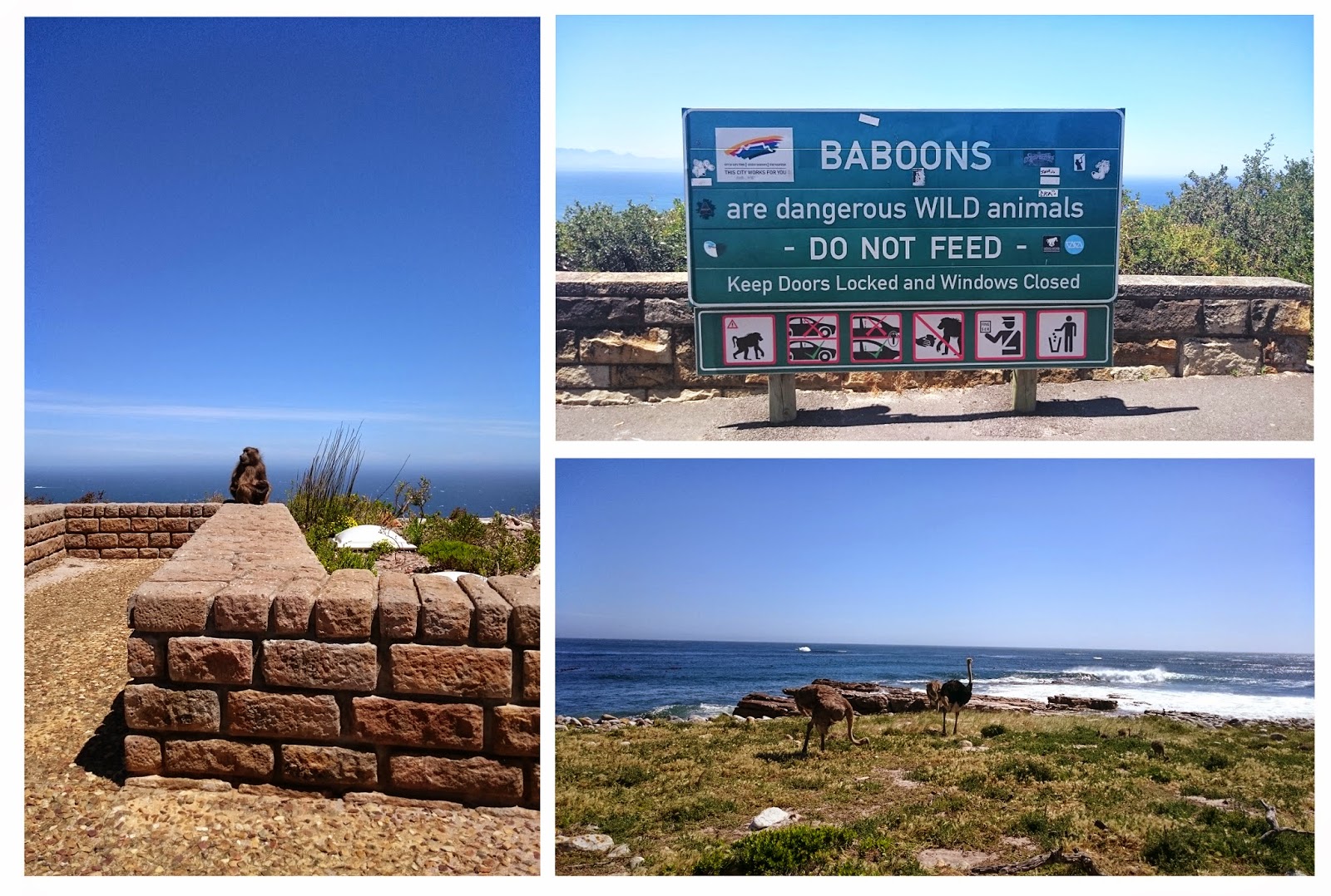 Ana Şehir Cape Town