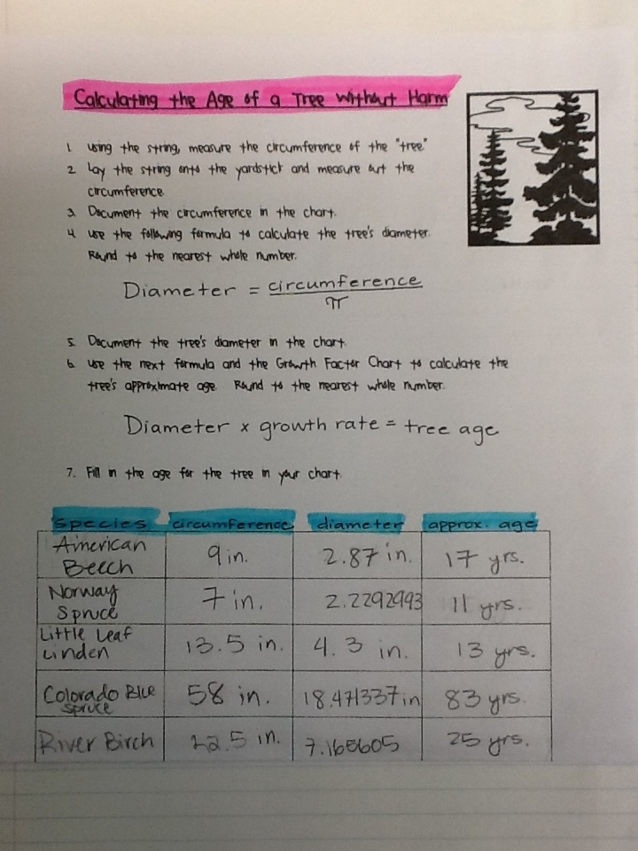 Tree Growth Factor Chart
