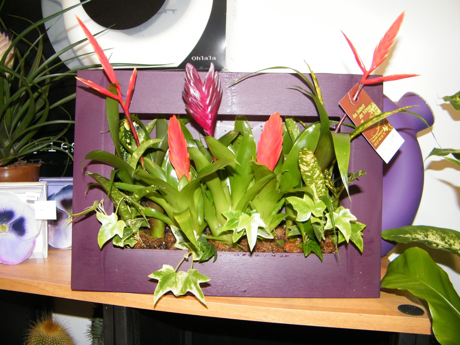 Lavis De Cherry Blog Mode Beaute Lifestyle Photo Macro N 2