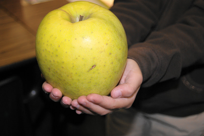 Slow Cooker Applesauce so easy 1st graders can make it! The Kitchen is My Playground