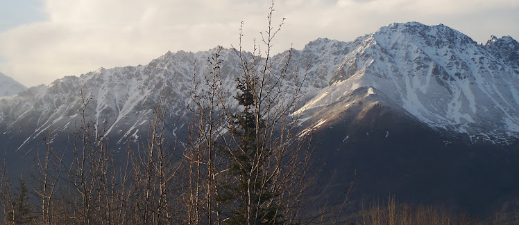 Alaskan Spring