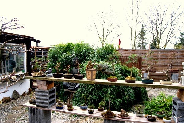 Pdf Telechargement Gratuit