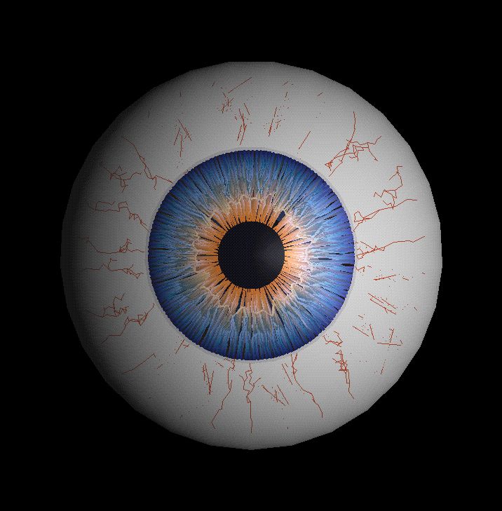 Picture Of Eyeball