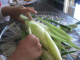 Montessori DOTNET: PRACTICAL LIFE ACTIVITIES: (18 m+)