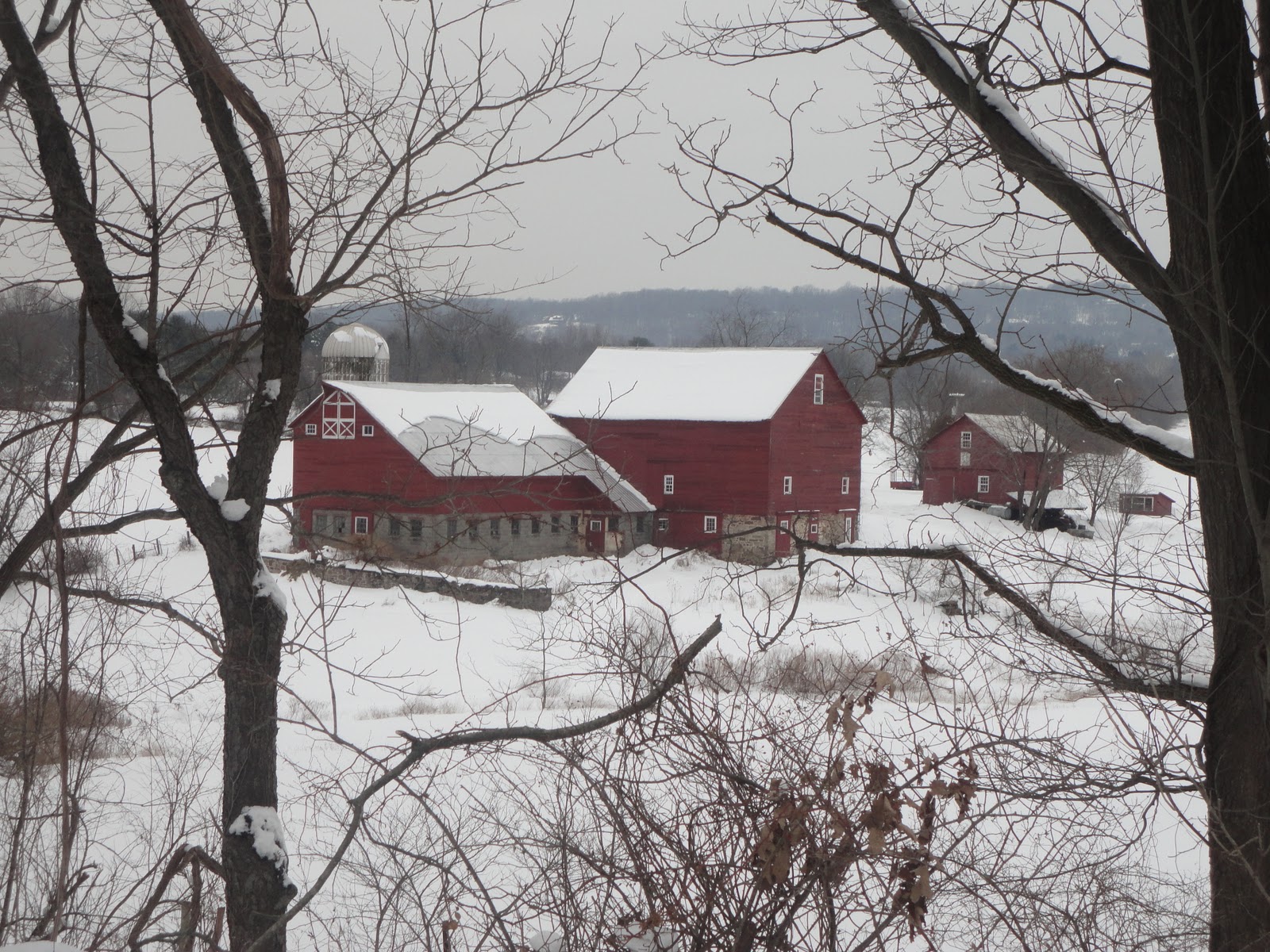 21 Rosemary Lane A touch of...