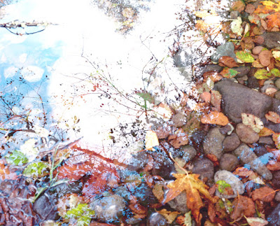 Dreams by Heather Wells