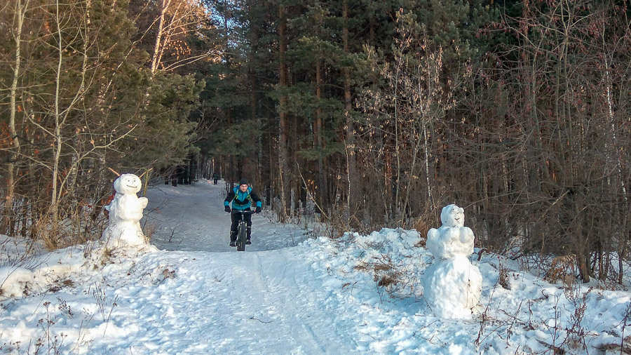 Окончательное завершение сезона 2017