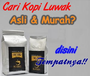 http://kopiluwakasliindonesia.blogspot.com/