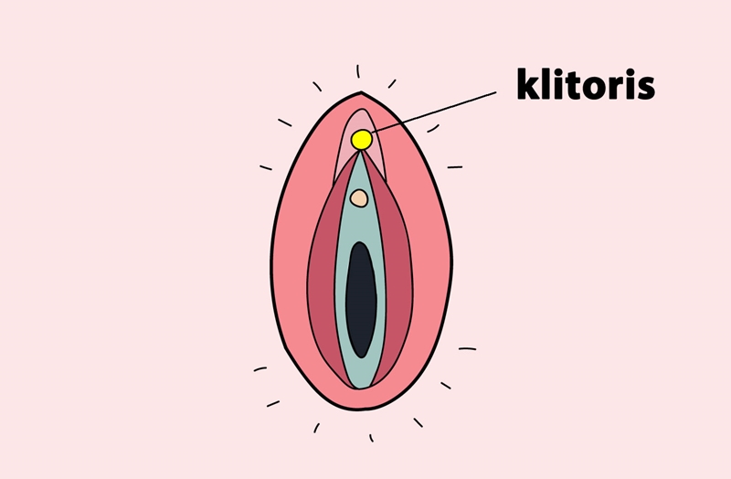 Klitoris big fan pic