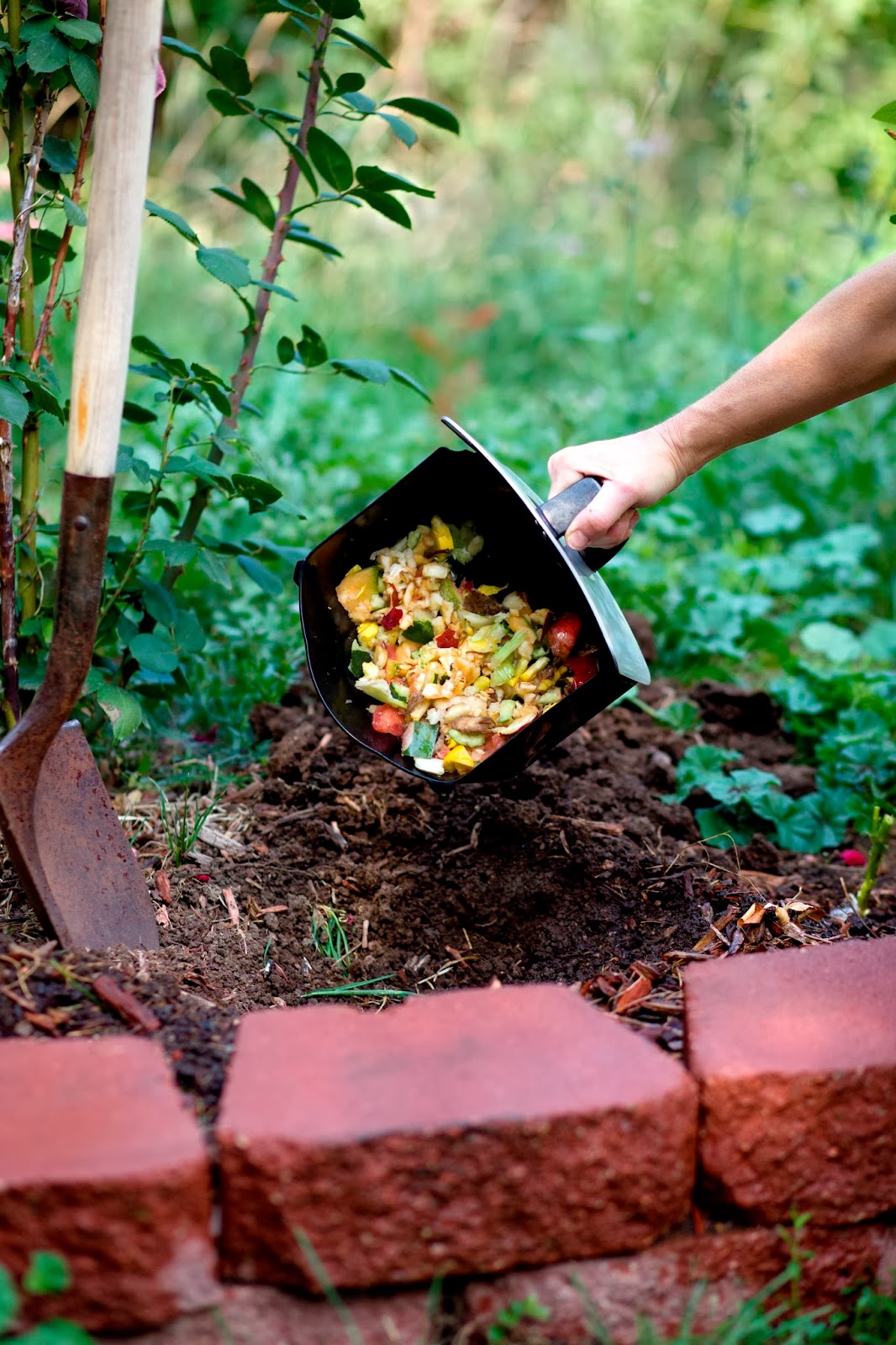 coach wallets greenwaste