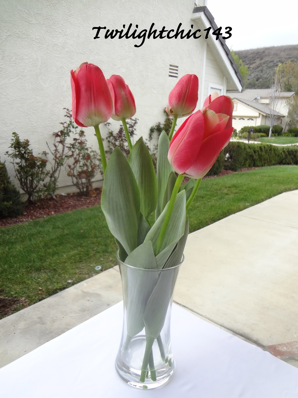 Tin's Bloggin DIY Acrylic Water Flower Arrangement♡TwiChic Thursday
