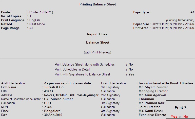 new balance sheet as per schedule vi