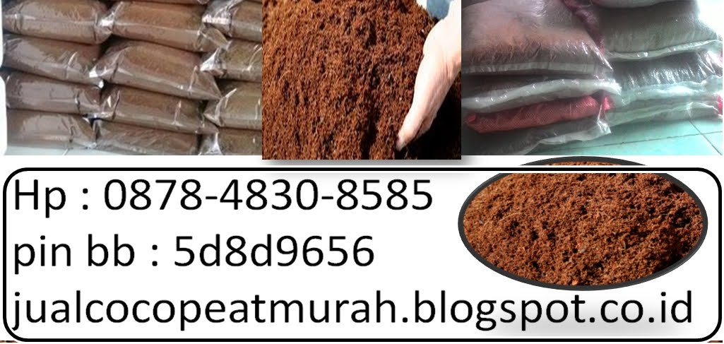 jual cocopeat murah, jual cocopeat jawa tengah, harga cocopeat