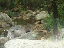 El Duende de la Micro-cuenca