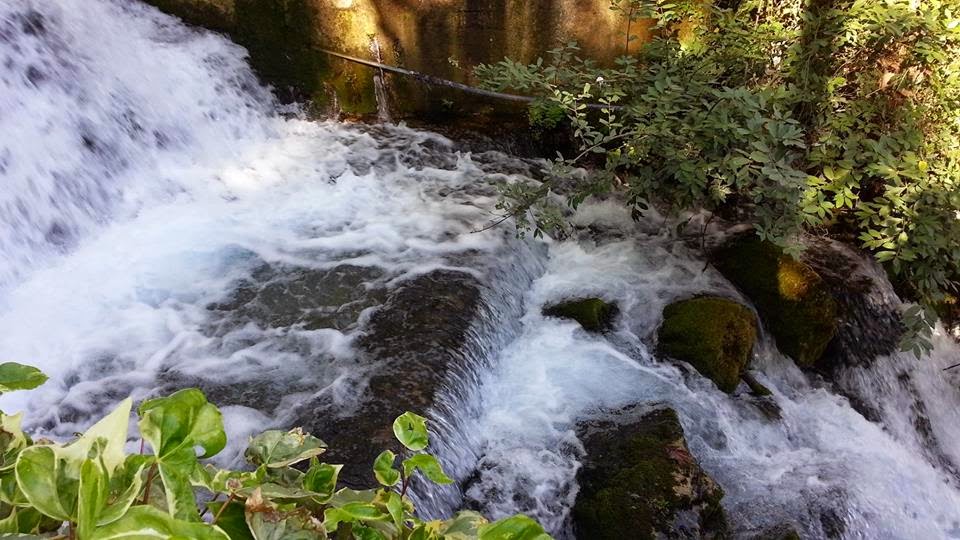 Dogal Kahvalti Zeytinci Han Ciftlik Evi Edremit Turkiye Tripadvisor