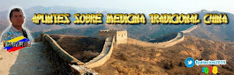 Blog de Medicina Tradicional China