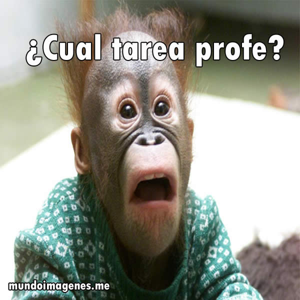 ¿Quereis tarea?