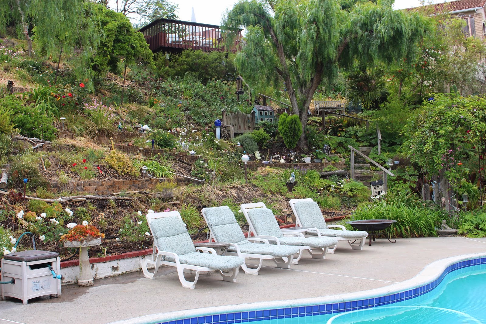 Rooted In Thyme Rooted in Thyme Gardens and Simple & Sweet Fridays 114