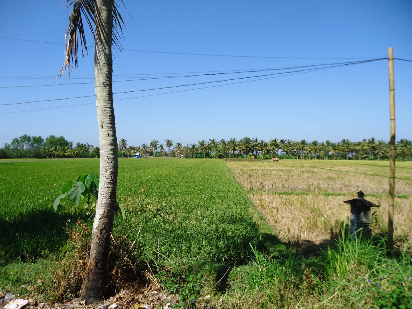 huis te koop bali bali blog een ander leven west bali huis te koop in huis te koop bali bali blog een ander leven west bali huis te koop in