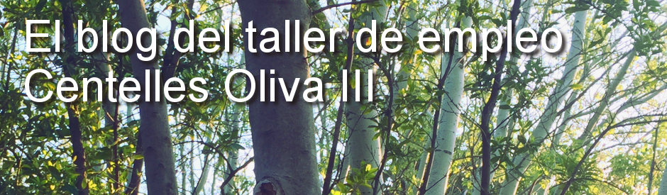 El blog del Taller de Empleo Centelles Oliva III
