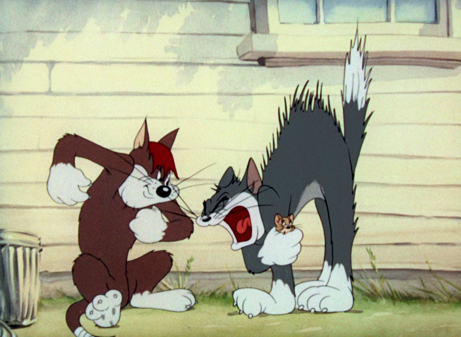 Tom Amp Jerry Pictures Quot Sufferin Cats Quot