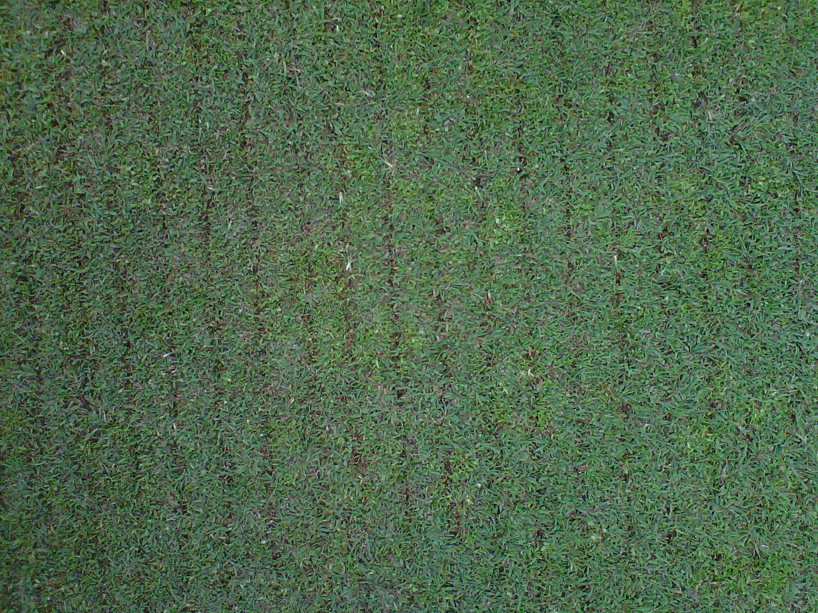 Rolling Meadows GC Maintenance Verticutting Greens